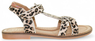 Sandale Clic - Clic! Chaussures pour enfants - Léopard | CL-20109