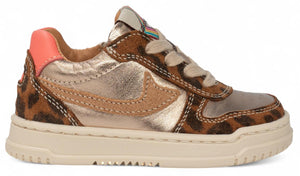 Romagnoli Sneaker - Romagnoli Kinderschoenen - Bruin | 7162R087