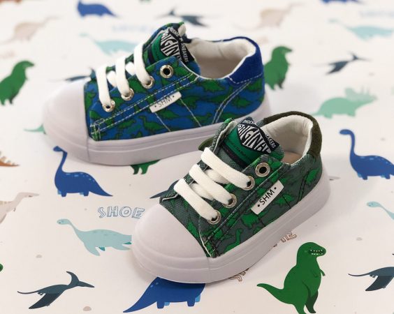 Stap in de wereld van de dinos van Shoesme