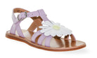 Pom D'Api Sandaal - Pom D'api Kinderschoenen - Paars | Plagette Big Flo